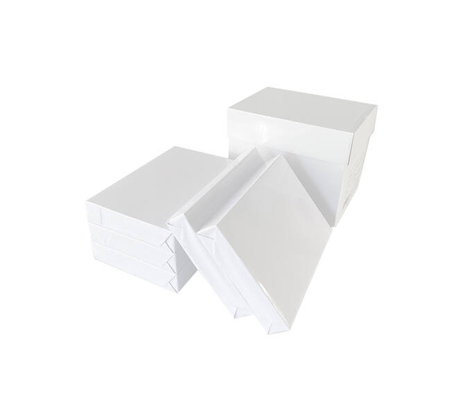 White Label A4 Papier 75g 500 Vellen x5 Pakket