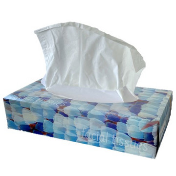 Facial Tissues Exclusiva 2laags 10x100 Stuks